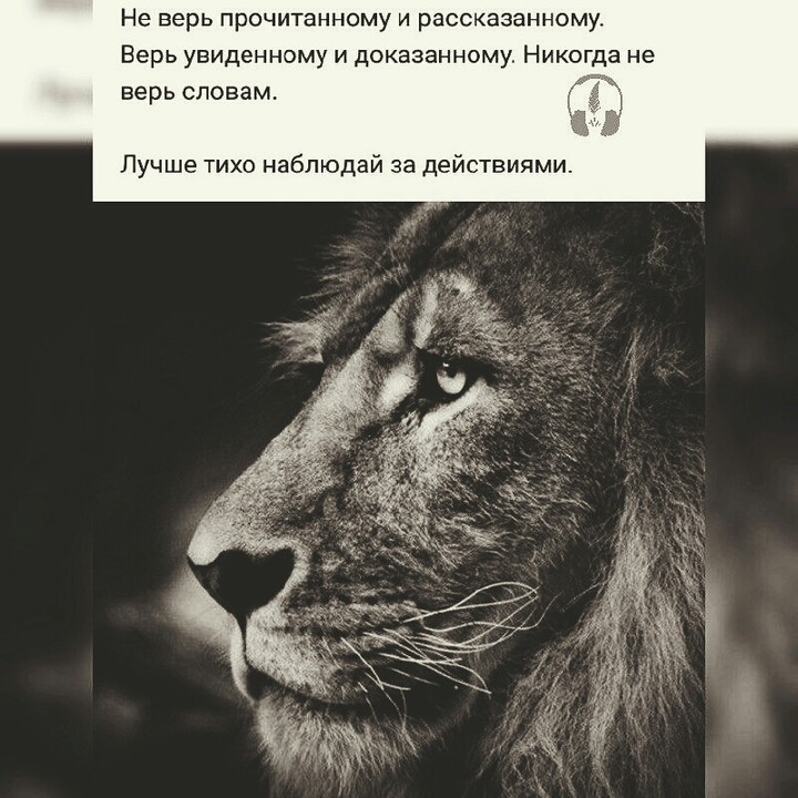 Лев