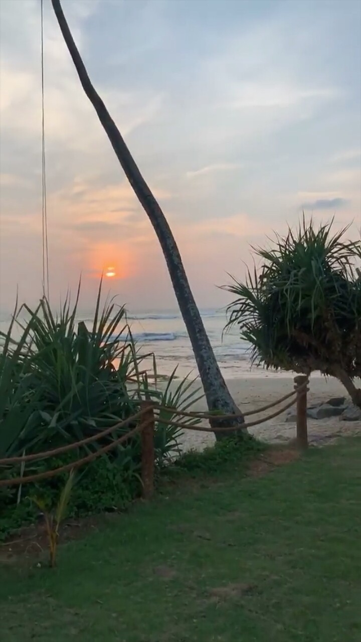 evening