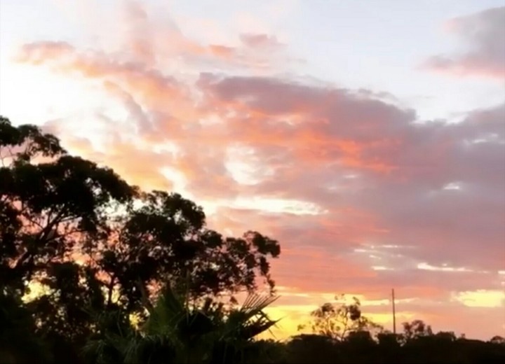 sunset with trees