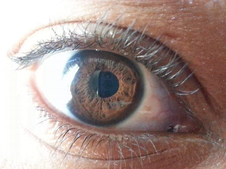 Meu