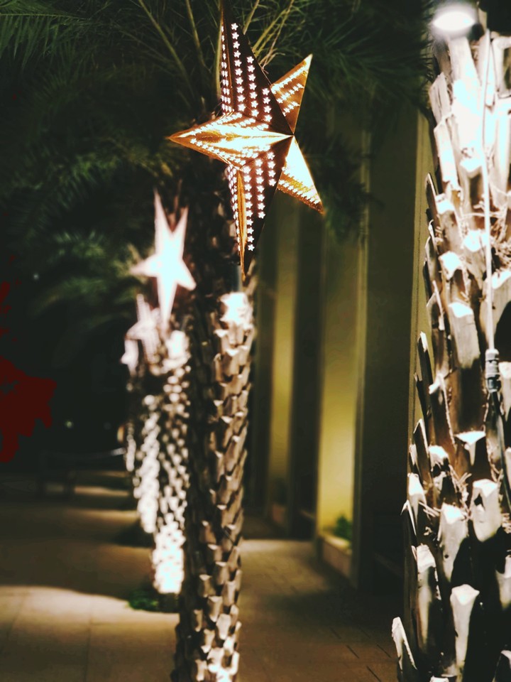 Christmas Lights