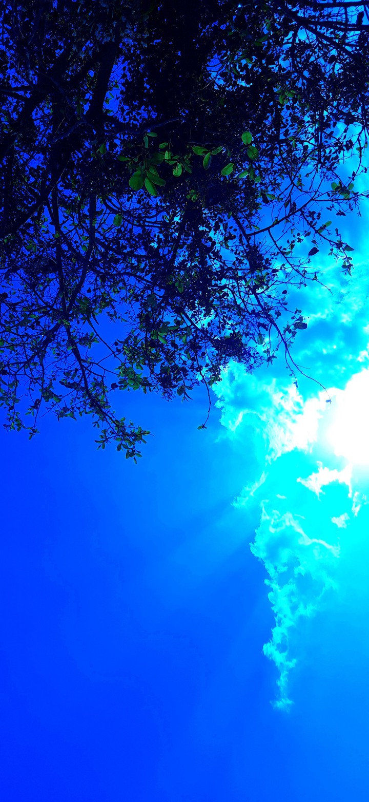BLUE SKY