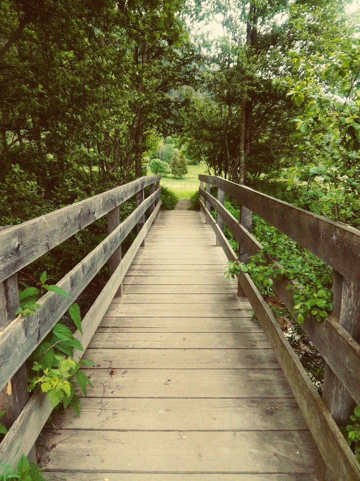 Wooden Bridge