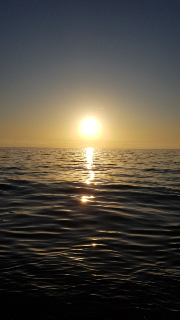 sun light
