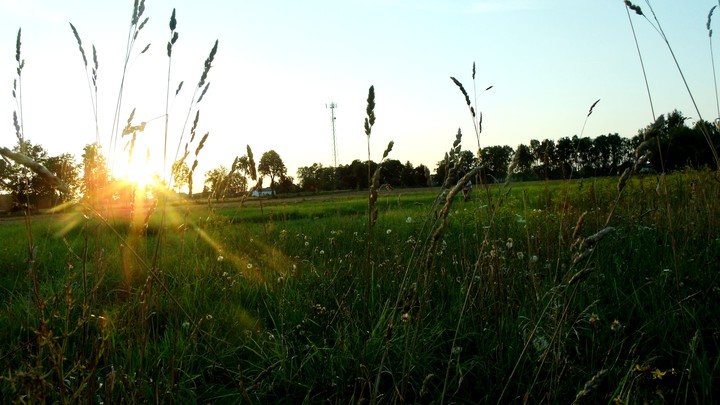 Nature