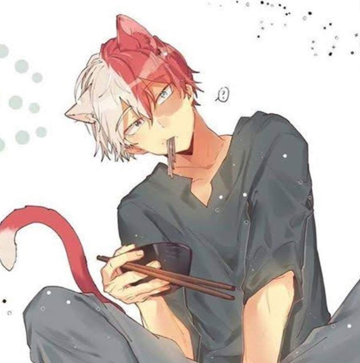Neko Todoroki