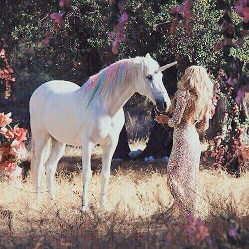 unicornio