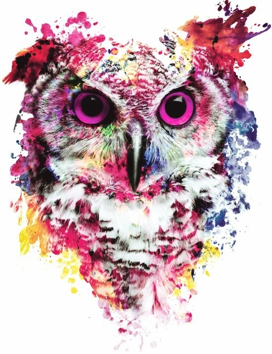 watercolor owl