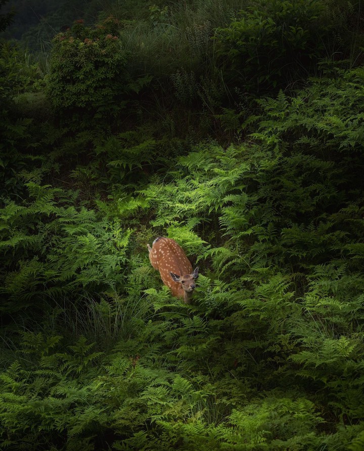 ✿◠‿◠