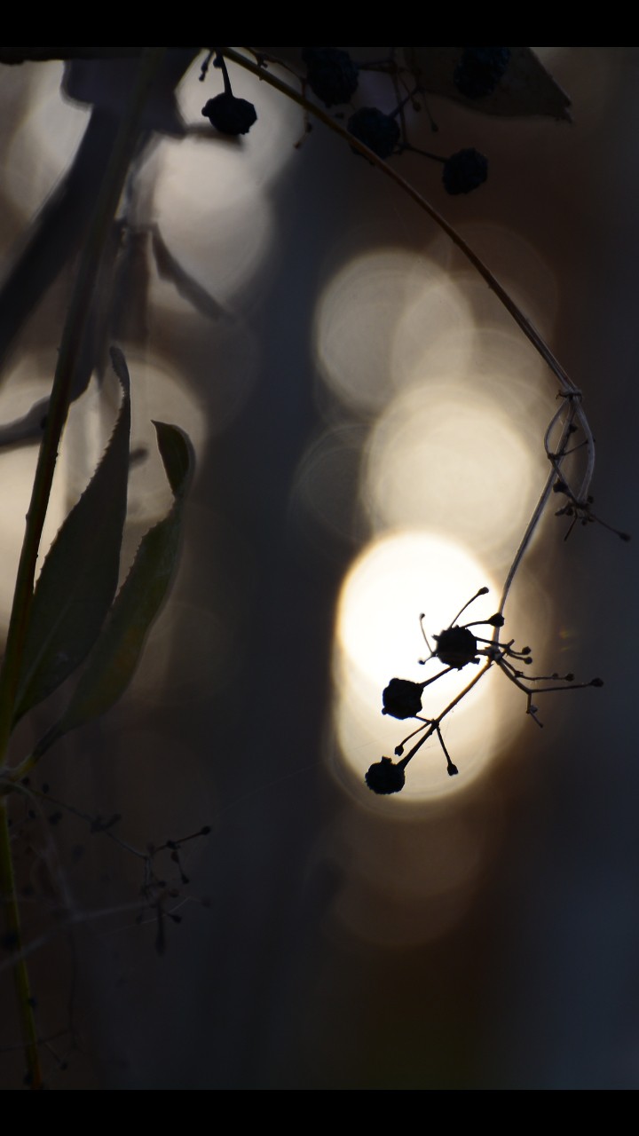 photograohy