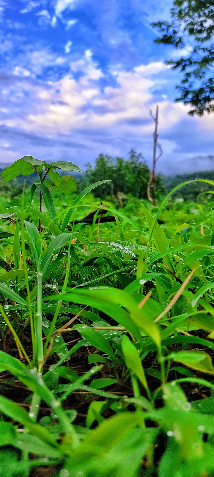 water droplets