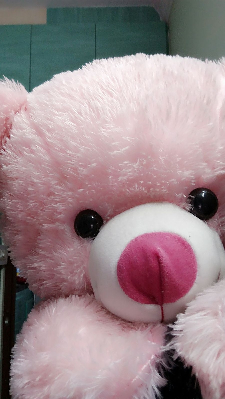 TEDDY