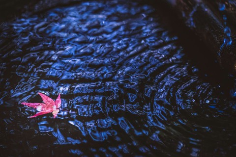 Water blue/Eau bleue