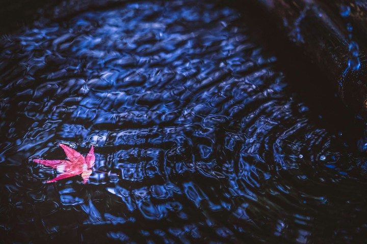 Water blue/Eau bleue