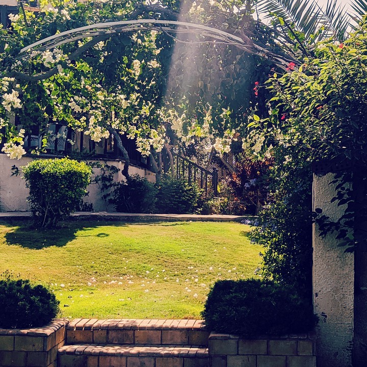 Beautiful Home Garden
