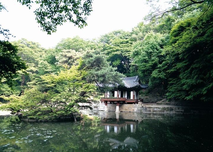 여행