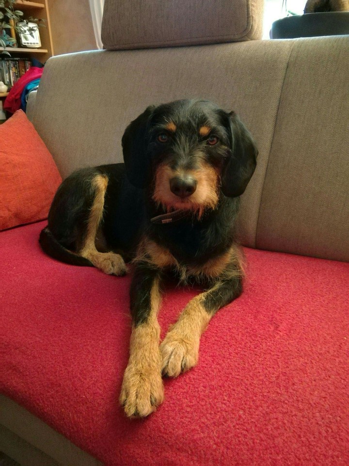 Penny
