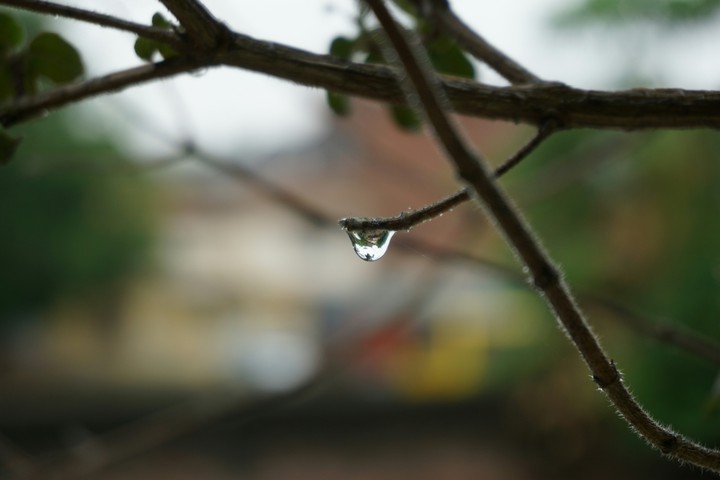 Rain drop