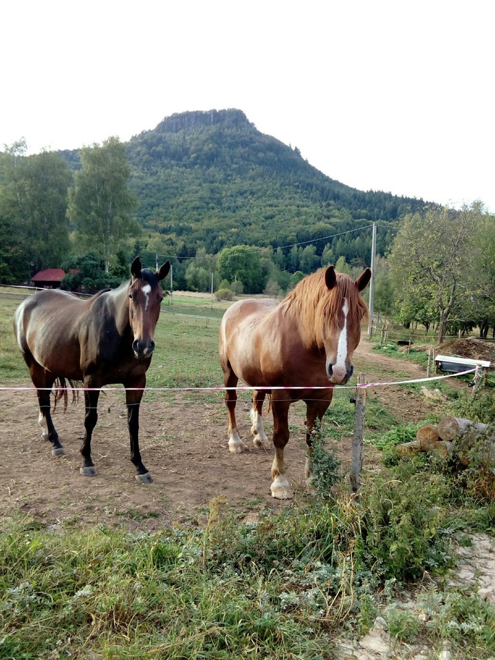 pod Broumovskými stěnami