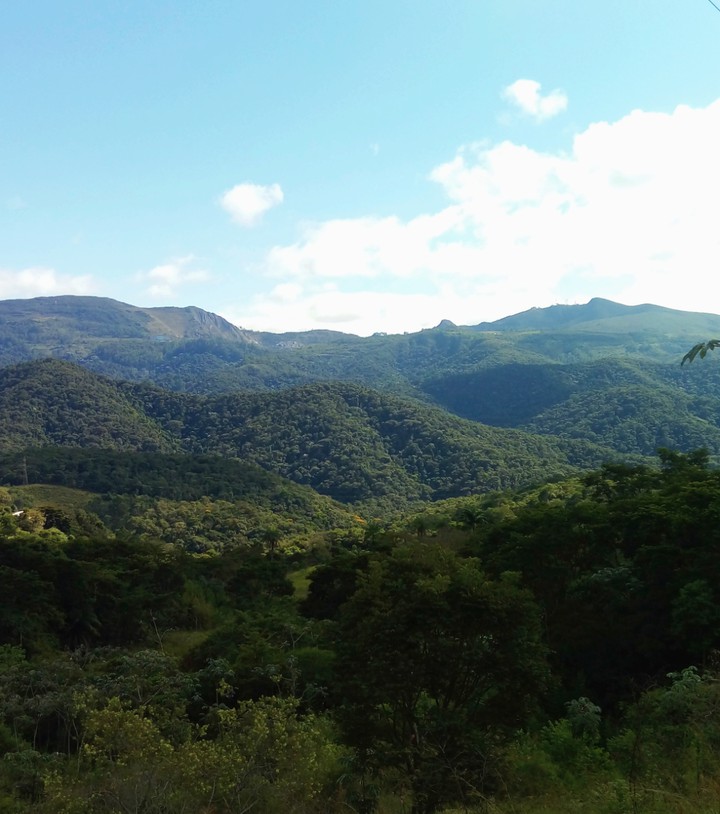 Mountain