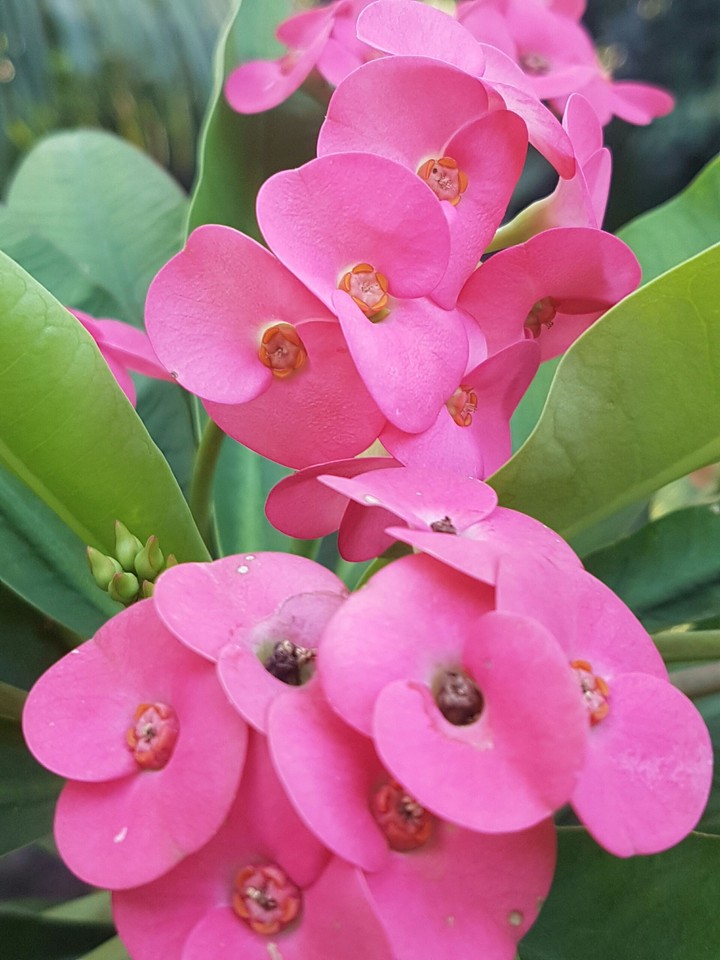 wonders of nature