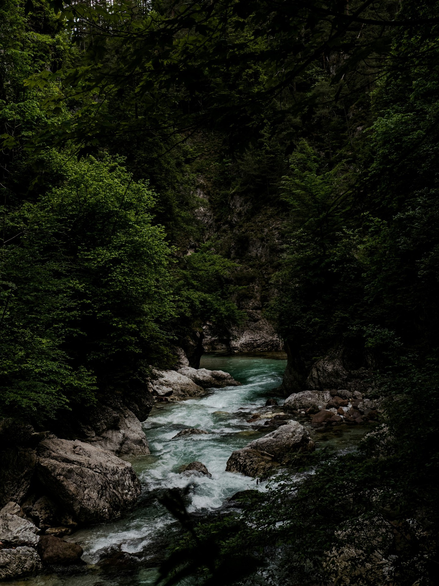 шпалери forest, watercourse