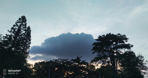 like a picture