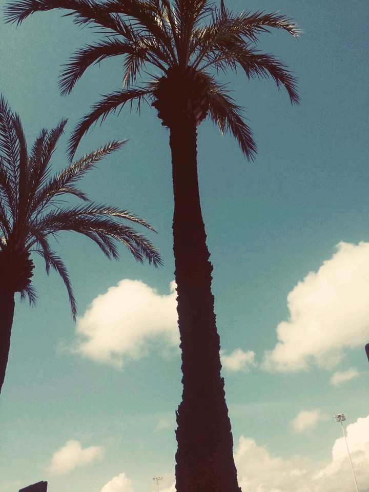 Summer