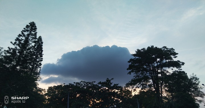 like a picture