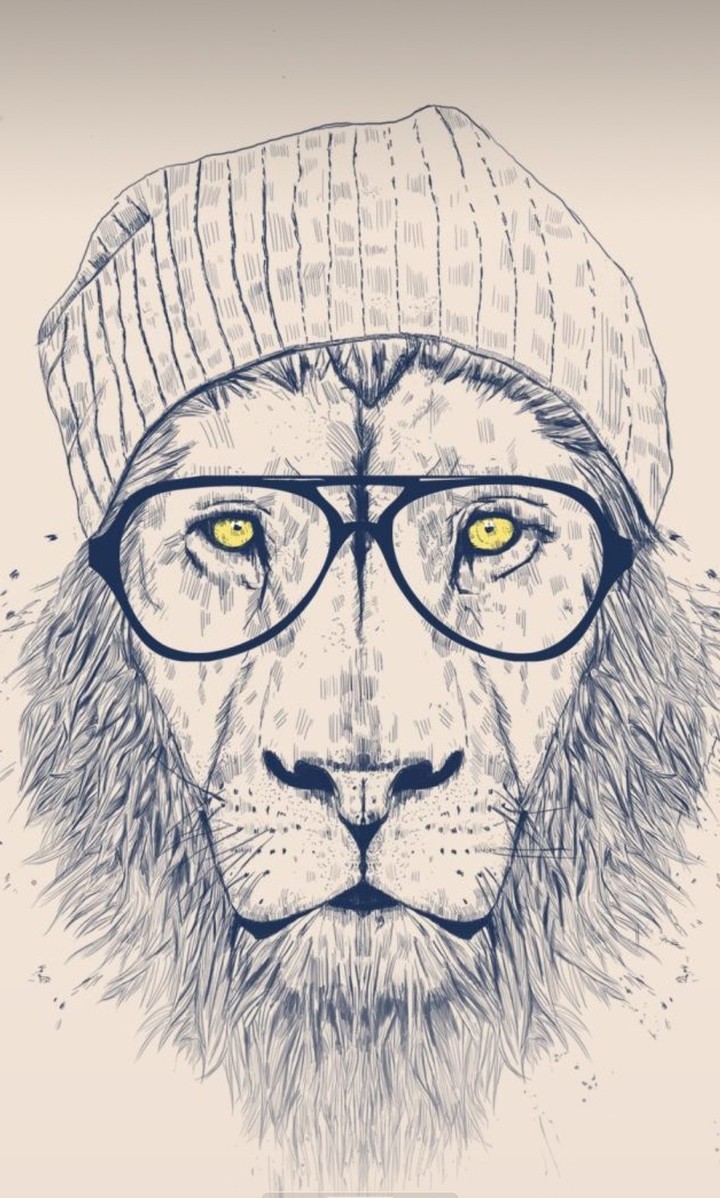 lion