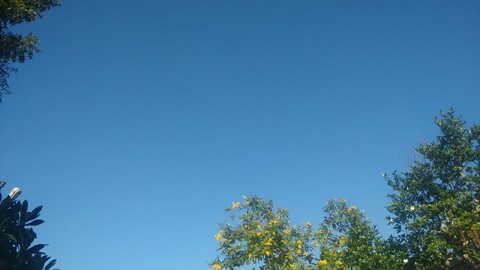 Clear Sky