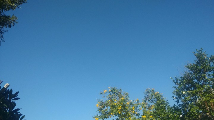 Clear Sky