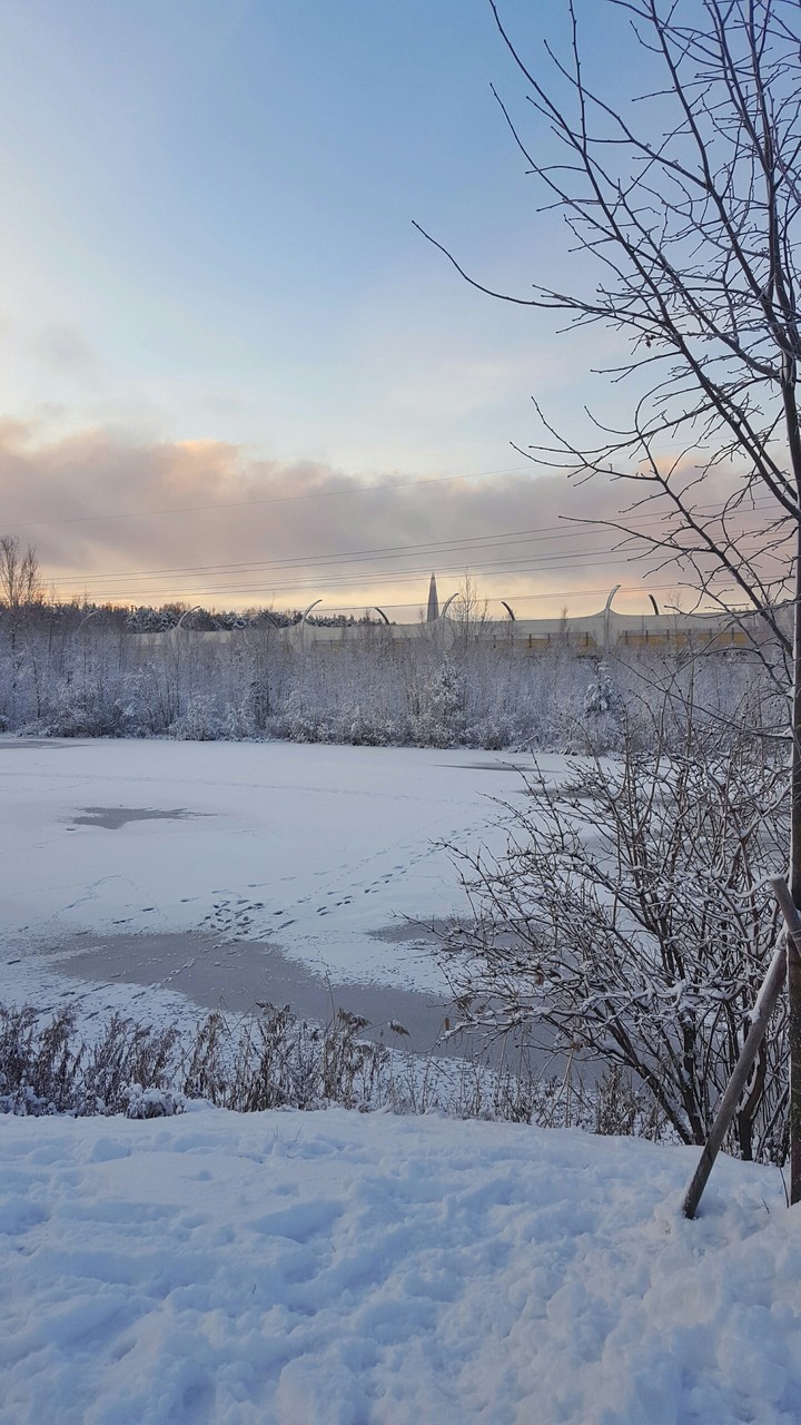 Морозности
