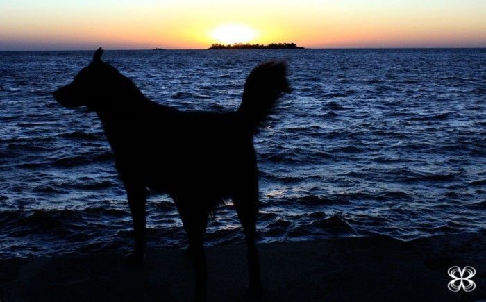 banho na praia