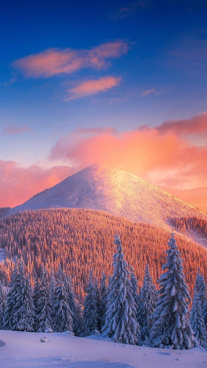 winter