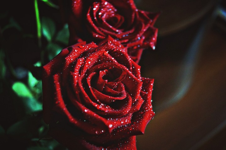 rain + rose =?