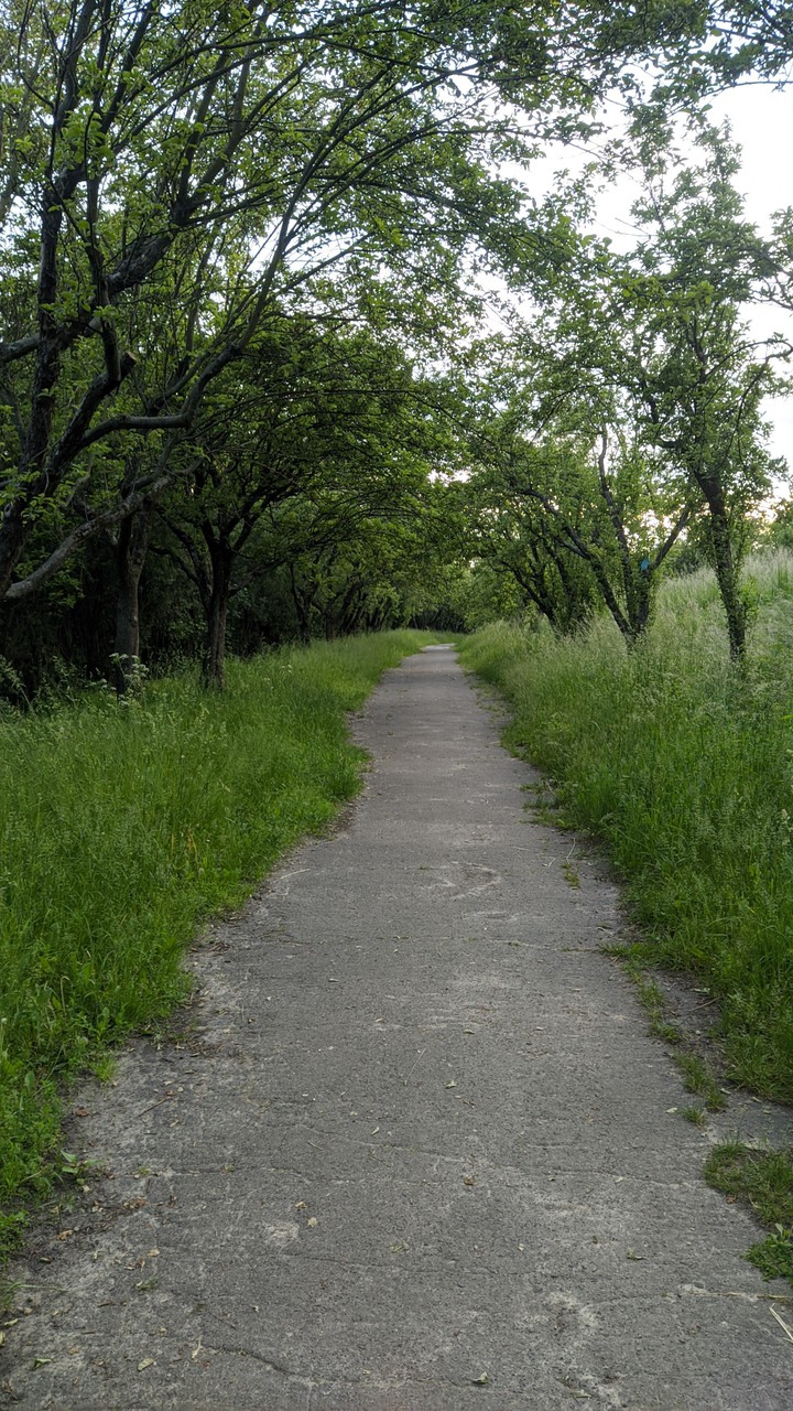 Botanical Garden