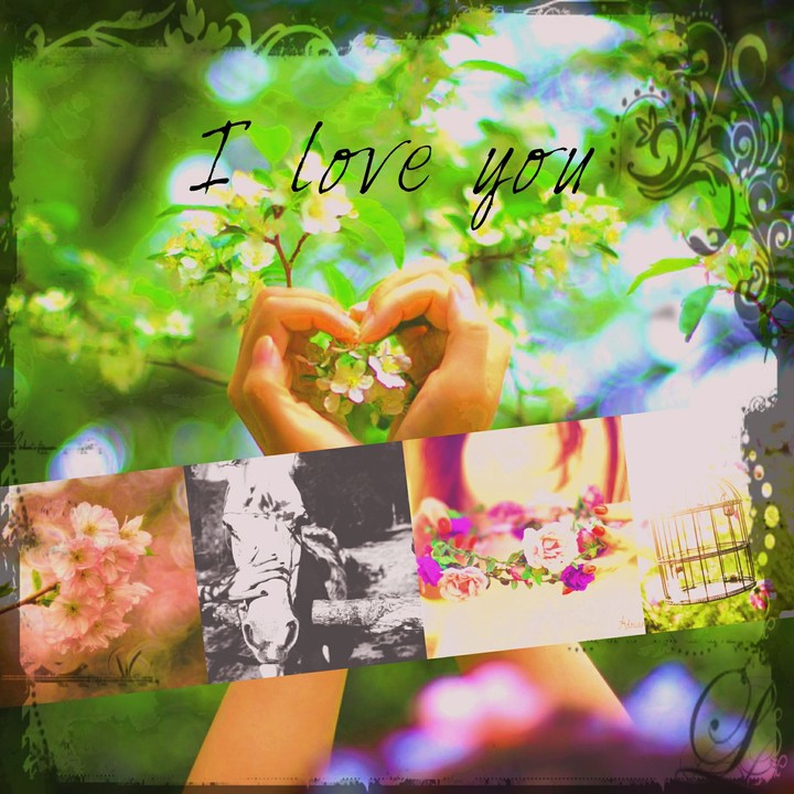 I love you