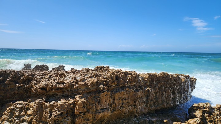 ocean