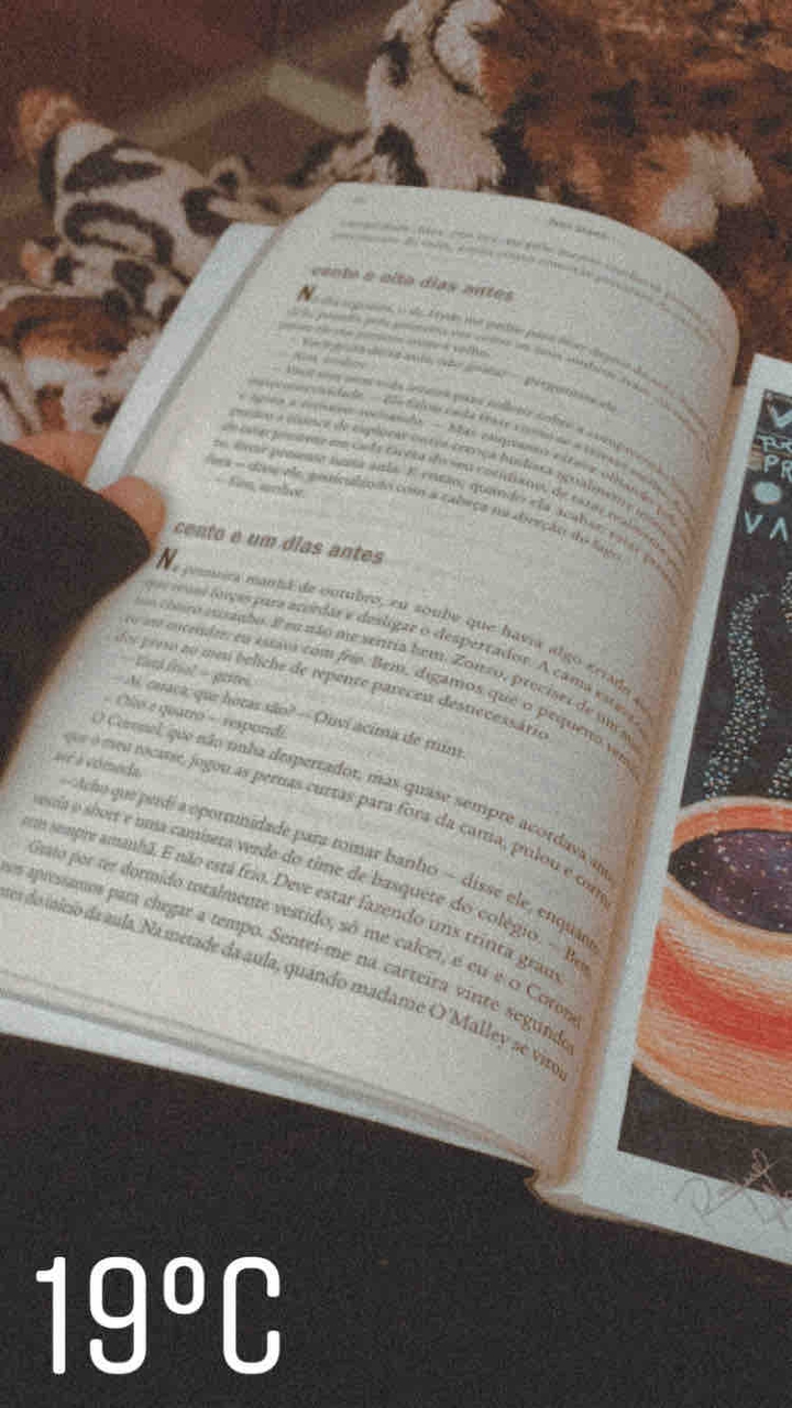foto perdida na galeria hihi