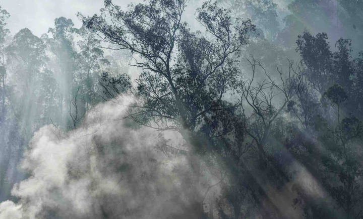 smoke
