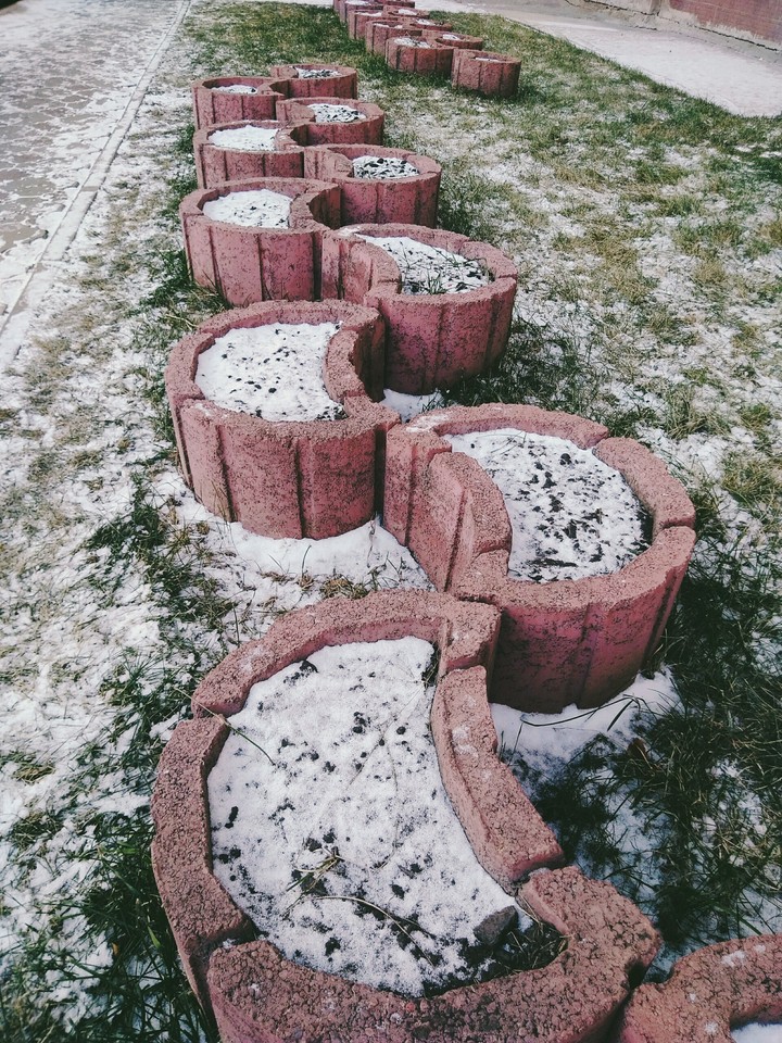 клумба