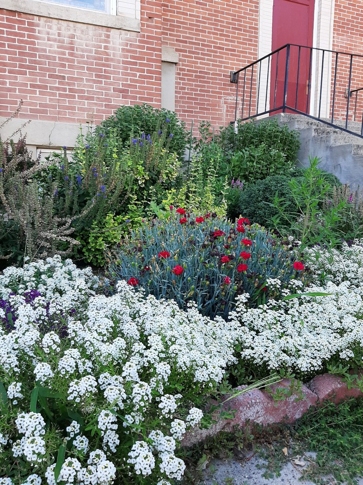 Beautiful Landscaping
