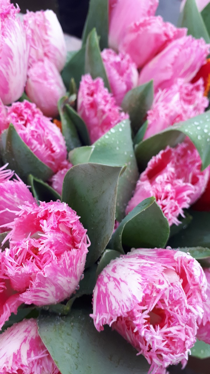 flower's day