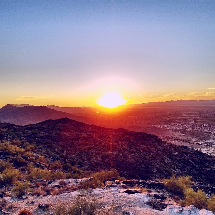 Phoenix