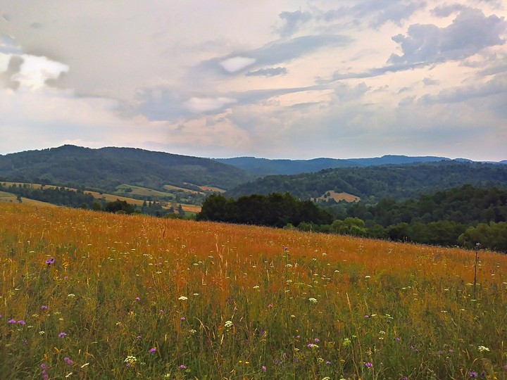 Moutain
