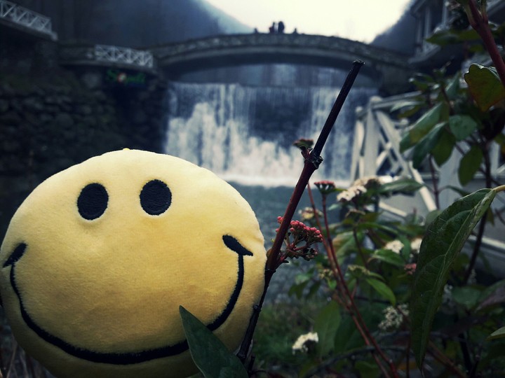 smile