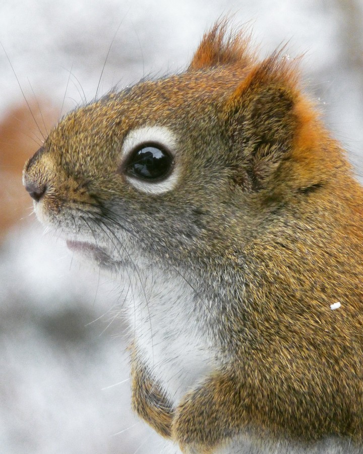 Perfect profile picture
