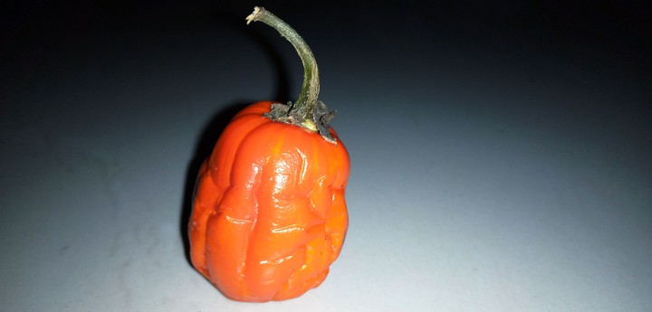 Red Egg