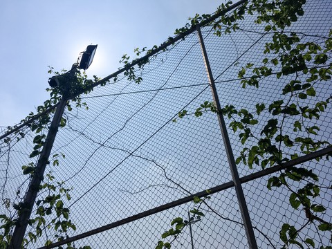 borders